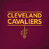 NBA Cleveland Cavaliers Standard - Maroon iPhone X Pro Case