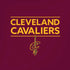 NBA Cleveland Cavaliers Standard - Maroon iPhone XR Skin