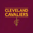 NBA Cleveland Cavaliers Standard - Maroon iPhone XS Max Skin