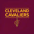 NBA Cleveland Cavaliers Standard - Maroon iPhone XS Pro Case