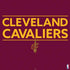 NBA Cleveland Cavaliers Standard - Maroon PS4 Pro Bundle Skin