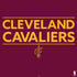 NBA Cleveland Cavaliers Standard - Maroon PS4 Pro/Slim Controller Skin