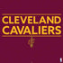 NBA Cleveland Cavaliers Standard - Maroon PS4 Slim Bundle Skin