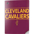 NBA Cleveland Cavaliers Standard - Maroon PS5 Digital Edition Console Skin