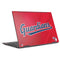 MLB Cleveland Guardians Alternate Road Jersey HP Envy Skin
