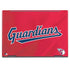 MLB Cleveland Guardians Alternate Road Jersey HP Envy Skin