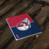 MLB Cleveland Guardians Split Surface Go Skin
