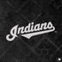 MLB Cleveland Guardians Dark Wash PS4 Controller Skin