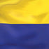 Colombia Flag iPhone XR Skin