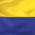 Colombia Flag iPhone XS Max Skin
