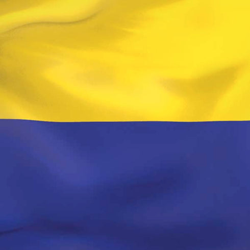 Colombia Flag iPhone XS Pro Case