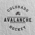 NHL Colorado Avalanche Black Text Nintendo 2DS XL (2017) Skin