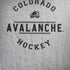 NHL Colorado Avalanche Black Text iPhone X Pro Case