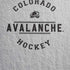 NHL Colorado Avalanche Black Text iPhone XR Pro Case
