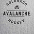 NHL Colorado Avalanche Black Text iPhone XR Skin