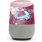 NHL Colorado Avalanche Frozen Google Home Skin