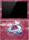 NHL Colorado Avalanche Frozen Surface Pro (2017) Skin