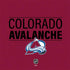 NHL Colorado Avalanche Lineup Nintendo 2DS XL (2017) Skin