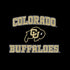 University of Colorado CU Logo on Gold Moto E5 Play Skin