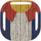 Colorado Flag Dark Wood Galaxy Buds Live Skin