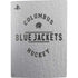 NHL Columbus Blue Jackets Black Text PS5 Bundle Skin