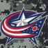 NHL Columbus Blue Jackets Camo Nintendo 2DS XL (2017) Skin