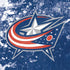 NHL Columbus Blue Jackets Frozen Nintendo 2DS XL (2017) Skin