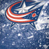 NHL Columbus Blue Jackets Frozen iPhone X Skin