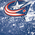 NHL Columbus Blue Jackets Frozen iPhone XR Skin
