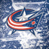 NHL Columbus Blue Jackets Frozen Moto G6 Skin