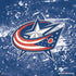 NHL Columbus Blue Jackets Frozen PS4 Pro/Slim Controller Skin