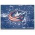 NHL Columbus Blue Jackets Frozen Surface Book 2 13.5in Skin