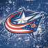 NHL Columbus Blue Jackets Frozen Surface Book 2 15in Skin