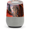 Ruth Thompson Coppervein Dragon Google Home Skin