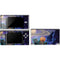Vincent Hie Cosmic Kittens DS Lite Skin
