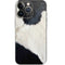 Cow Animal Print iPhone 14 Pro Skin