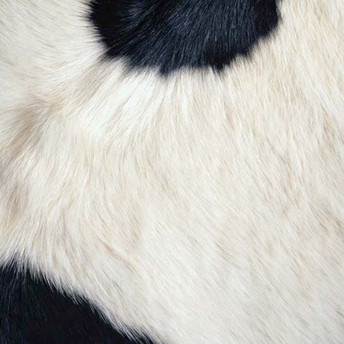 Cow Animal Print iPhone XS Skin