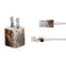 Cozy Autumn Library Witch with Cat and Coffee by Ivy Dolamore iPhone Charger (5W USB) Skin