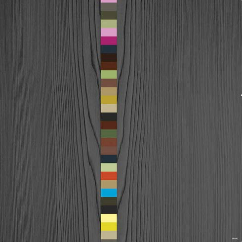 Craft & Commerce PS4 Pro Bundle Skin