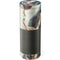 Creation of Adam by Michelangelo Amazon Echo Skin