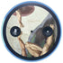 Creation of Adam by Michelangelo Amazon Echo Skin