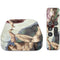 Creation of Adam by Michelangelo Apple TV Skin