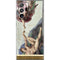 Michelangelo Creation of Adam Galaxy Note20 Ultra 5G Skin
