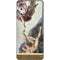 Michelangelo Creation of Adam Galaxy S20 Skin