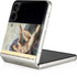 Michelangelo Creation of Adam Galaxy Z Flip3 5G Skin