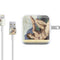 Michelangelo Creation of Adam iPad Charger (10W USB) Skin