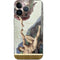 Michelangelo Creation of Adam iPhone 13 Pro Skin