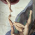 Michelangelo Creation of Adam iPhone X Pro Case