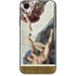 Michelangelo Creation of Adam iPhone XR Skin