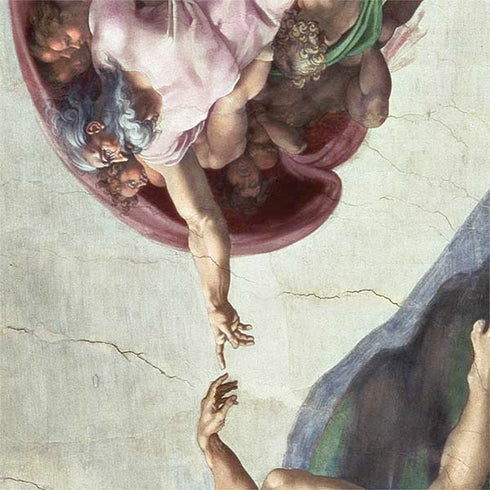 Creation of Adam by Michelangelo Otterbox Commuter Galaxy Skin